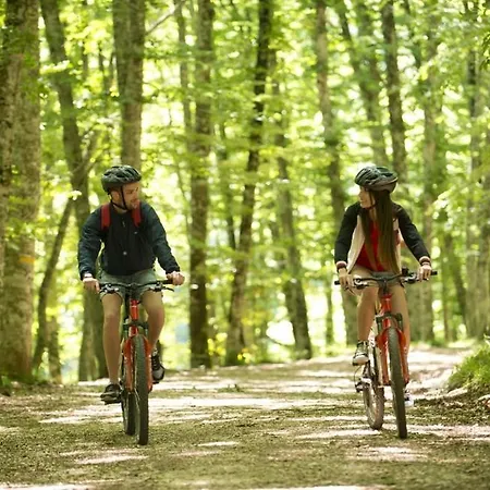 Vela Velo Club Hotel