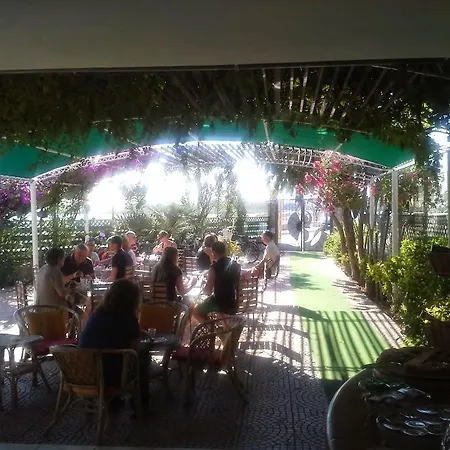 Vela Velo Club Hotel